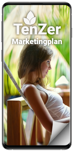 marketingplan