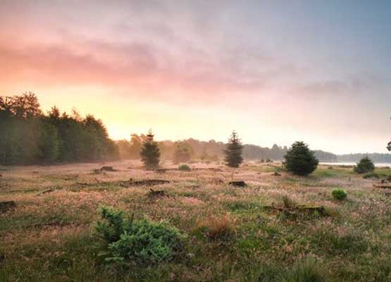 Camping Torentjeshoek